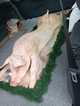 img-20250505-wa0011.jpg