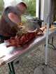 img-20250505-wa0013.jpg